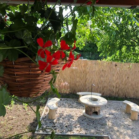 Mormota Vendeghaz Apartment Mezokovesd Ngoại thất bức ảnh